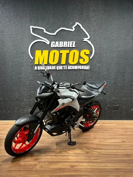 YAMAHA MT-03 300 ABS, Foto 4