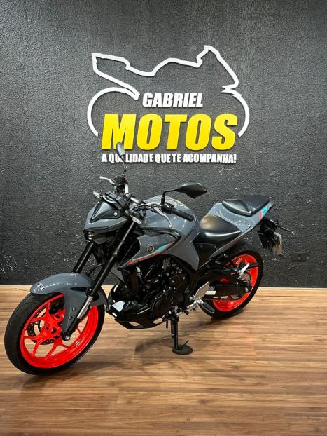 YAMAHA MT-03 300 ABS, Foto 4