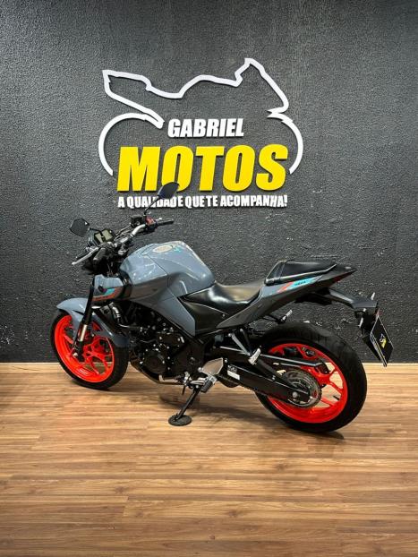 YAMAHA MT-03 300 ABS, Foto 6