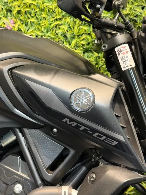 YAMAHA MT-03 300 ABS, Foto 7