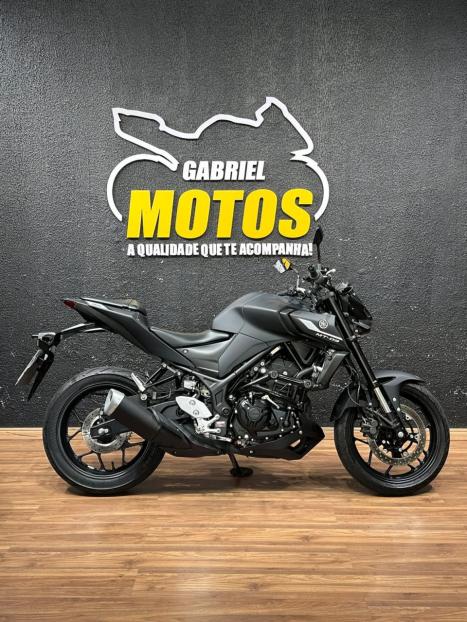 YAMAHA MT-03 300 ABS, Foto 1