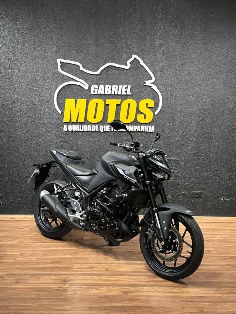 YAMAHA MT-03 300 ABS, Foto 3
