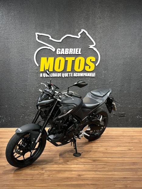 YAMAHA MT-03 300 ABS, Foto 4