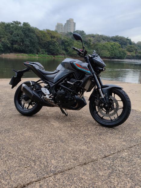 YAMAHA MT-03 300 ABS, Foto 1