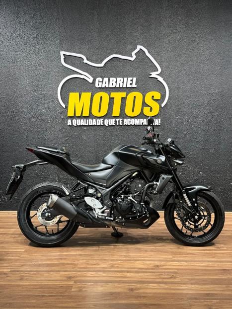 YAMAHA MT-03 300 ABS, Foto 1
