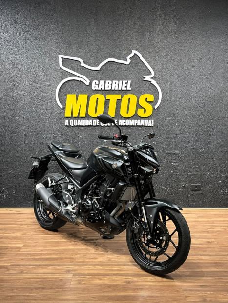 YAMAHA MT-03 300 ABS, Foto 3