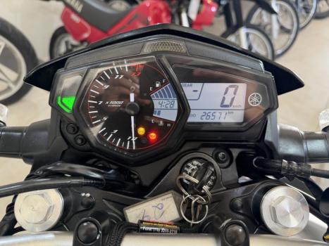 YAMAHA MT-03 300 ABS, Foto 2