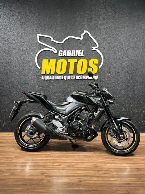 YAMAHA MT-03 300 ABS, Foto 1