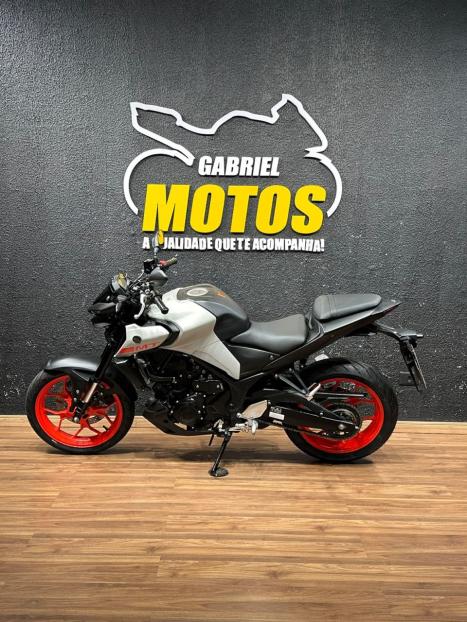 YAMAHA MT-03 300 ABS, Foto 2
