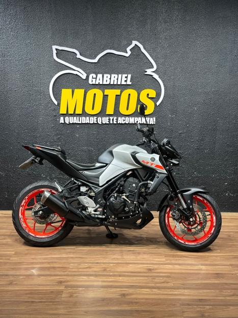 YAMAHA MT-03 300 ABS, Foto 1