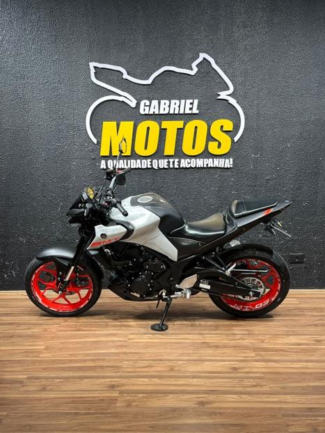 YAMAHA MT-03 300 ABS, Foto 2
