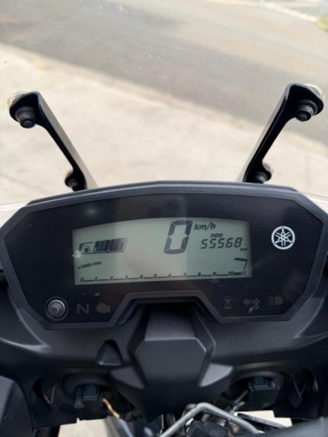YAMAHA Tener� 250 XTZ, Foto 7
