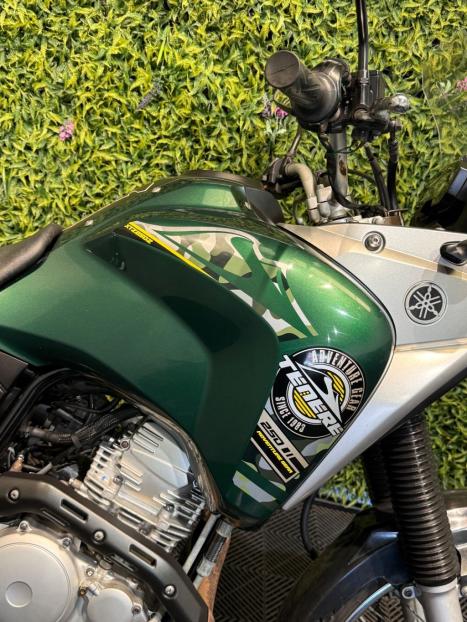 YAMAHA Tener� 250 XTZ, Foto 7