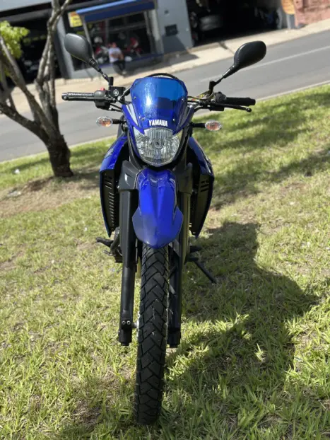 YAMAHA XT 660 R , Foto 7