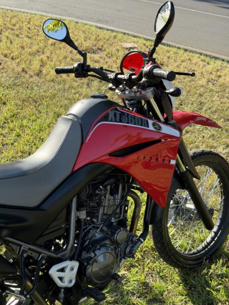 YAMAHA XT 660 R , Foto 10