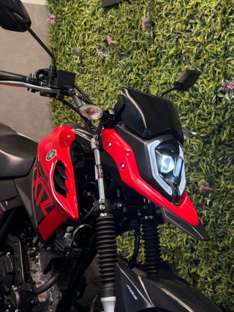 YAMAHA XTZ 150 Crosser S, Foto 8