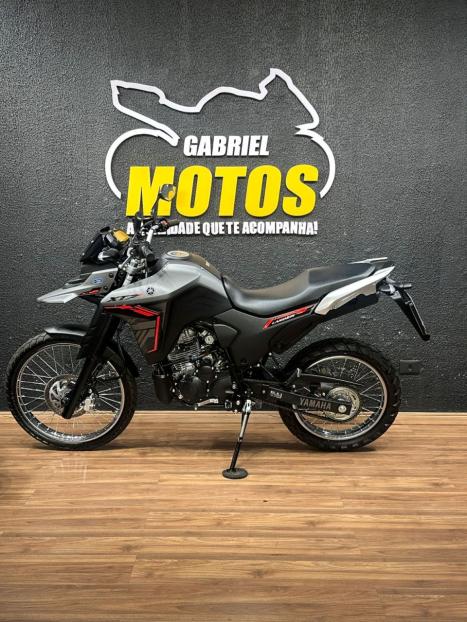 YAMAHA XTZ 250 LANDER, Foto 2