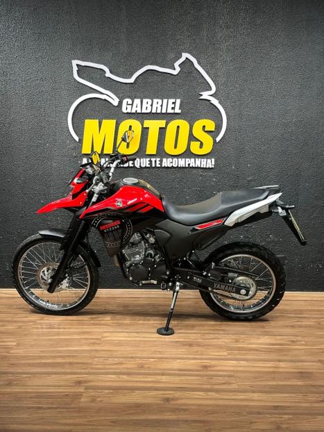 YAMAHA XTZ 250 LANDER, Foto 2