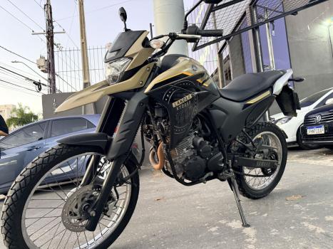 YAMAHA XTZ 250 LANDER, Foto 3