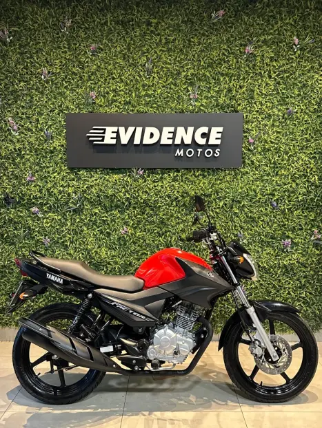 YAMAHA YBR 125 FACTOR ED, Foto 2