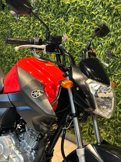 YAMAHA YBR 125 FACTOR ED, Foto 5