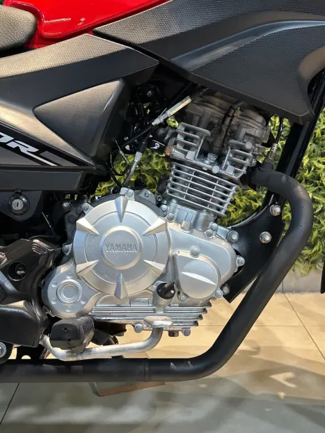 YAMAHA YBR 125 FACTOR ED, Foto 8