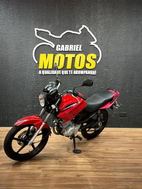 YAMAHA YBR 125 FACTOR ED, Foto 4
