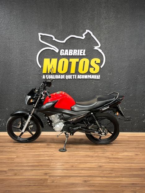 YAMAHA YBR 125 FACTOR ED, Foto 2