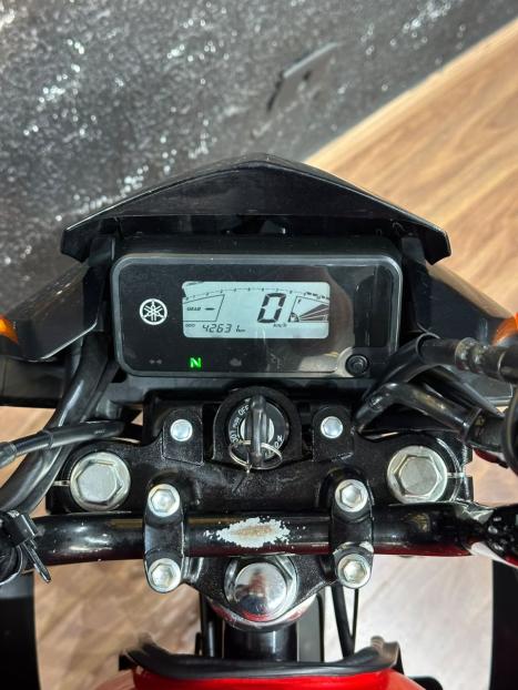 YAMAHA YBR 125 FACTOR ED, Foto 7