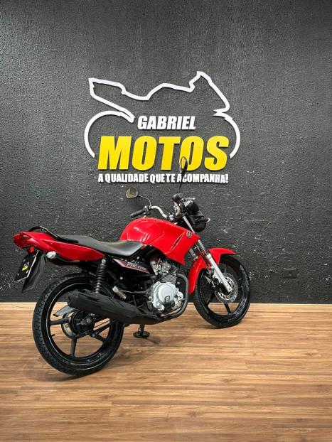 YAMAHA YBR 125 FACTOR ED, Foto 5