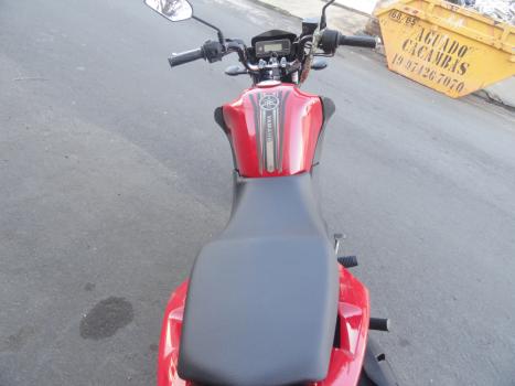 YAMAHA YBR 150 FACTOR ED FLEX, Foto 9
