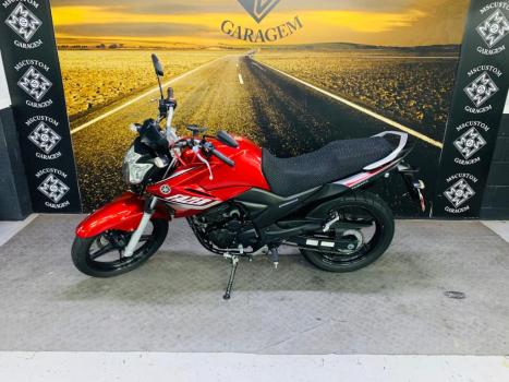 YAMAHA YS Fazer 250 BLUE FLEX, Foto 9