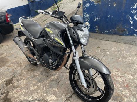 YAMAHA YS Fazer 250 LIMITED EDITION, Foto 3