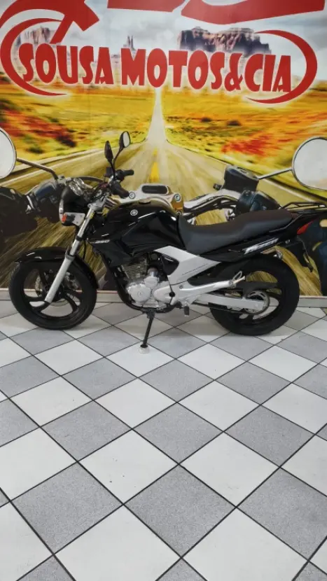 YAMAHA YS Fazer 250 LIMITED EDITION, Foto 3