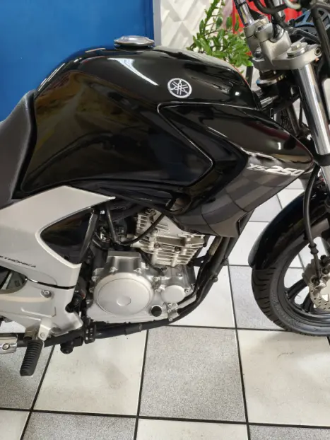 YAMAHA YS Fazer 250 LIMITED EDITION, Foto 9