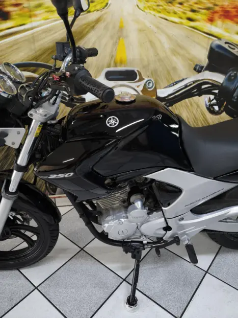 YAMAHA YS Fazer 250 LIMITED EDITION, Foto 12