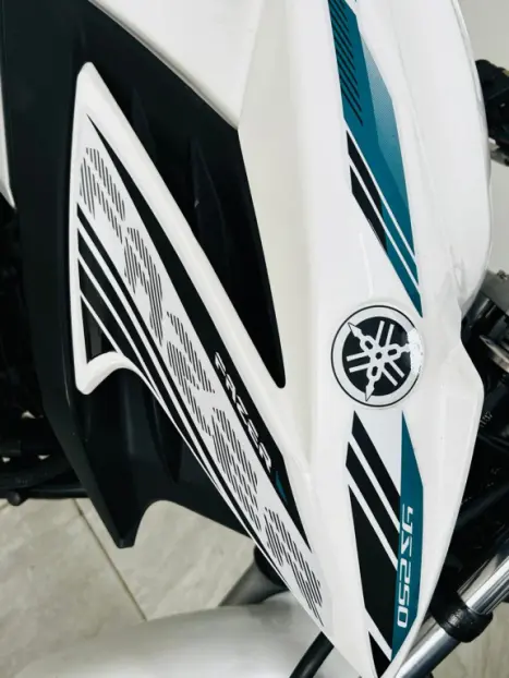 YAMAHA YS Fazer 250 , Foto 5