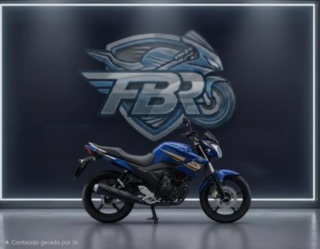 YAMAHA YS Fazer 250 BLUE FLEX, Foto 2