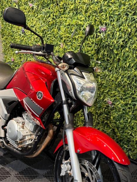 YAMAHA YS Fazer 250 BLUE FLEX, Foto 8