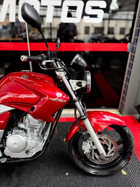 YAMAHA YS Fazer 250 LIMITED EDITION, Foto 3