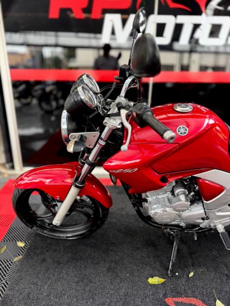 YAMAHA YS Fazer 250 LIMITED EDITION, Foto 5