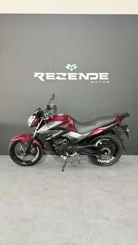 YAMAHA YS Fazer 250 BLUE FLEX, Foto 5