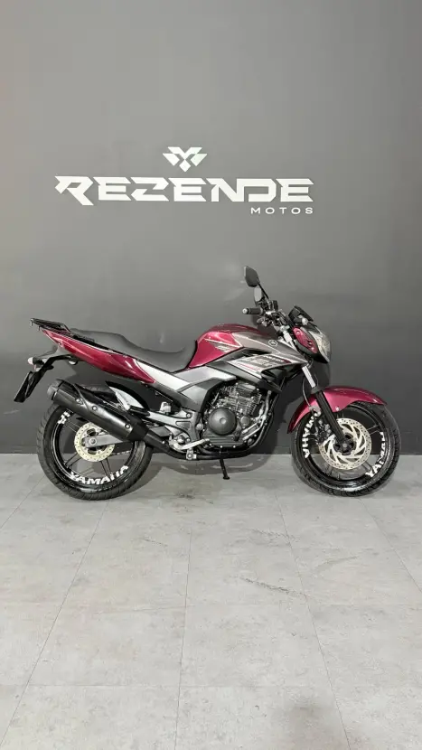 YAMAHA YS Fazer 250 BLUE FLEX, Foto 6