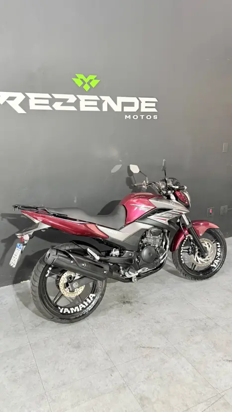 YAMAHA YS Fazer 250 BLUE FLEX, Foto 9