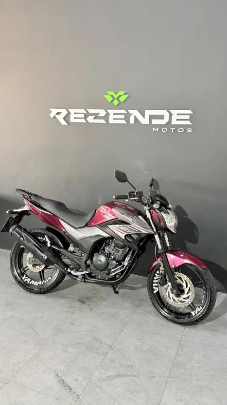 YAMAHA YS Fazer 250 BLUE FLEX, Foto 10
