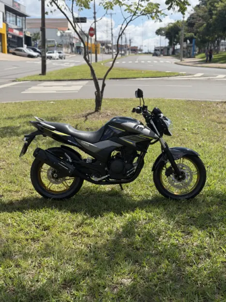 YAMAHA YS Fazer 250 , Foto 2