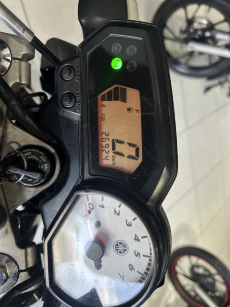 YAMAHA YS Fazer 250 LIMITED EDITION, Foto 3