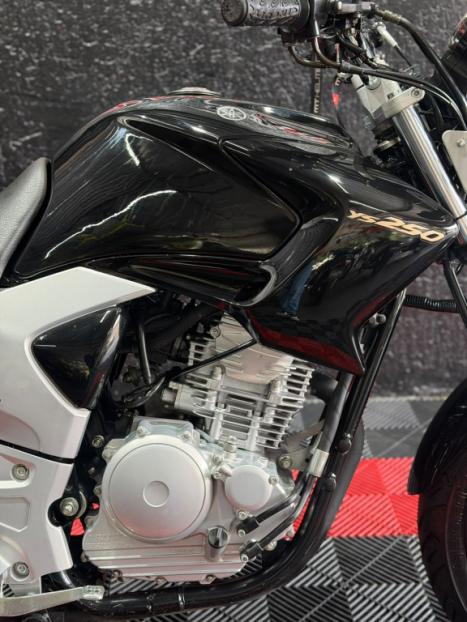 YAMAHA YS Fazer 250 LIMITED EDITION, Foto 7