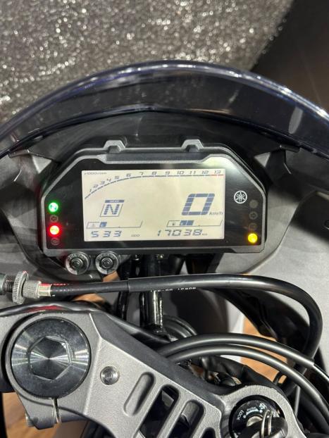 YAMAHA YZF R3 300 ABS, Foto 7