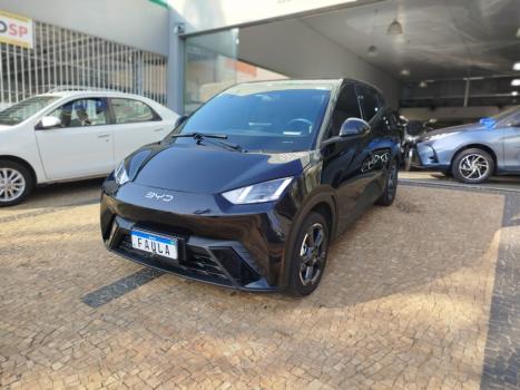 BYD Dolphin Mini 38 KW ELTRICO, Foto 2